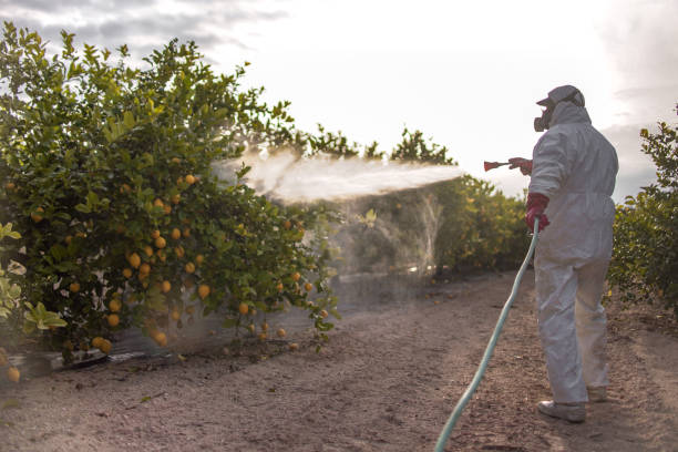 Pest Control for Restaurants and Food Service in New London, IA